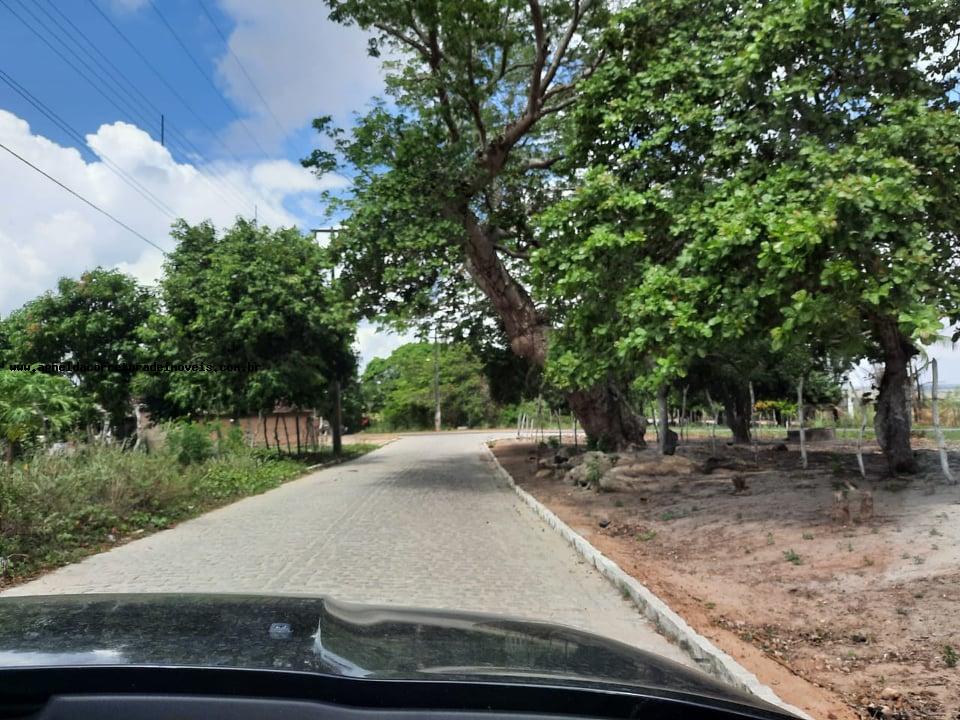 Fazenda à venda com 2 quartos, 14m² - Foto 16