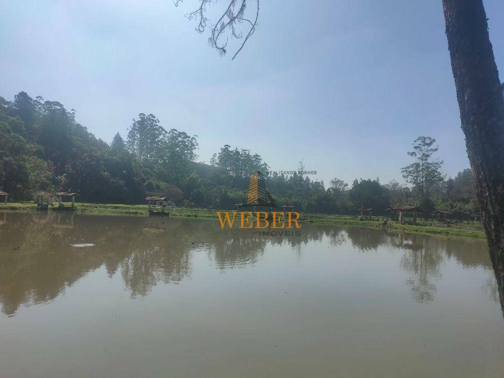 Sítio à venda com 6 quartos, 100000M2 - Foto 152