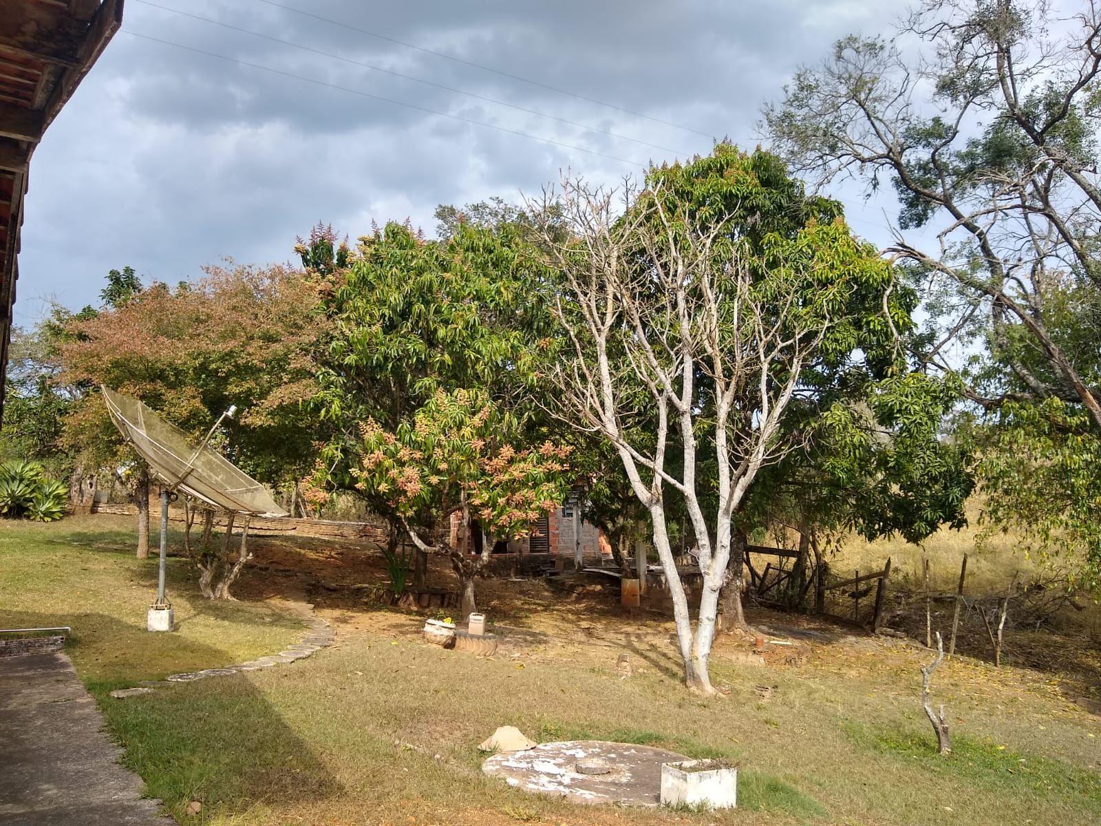 Fazenda à venda com 3 quartos, 5300m² - Foto 38