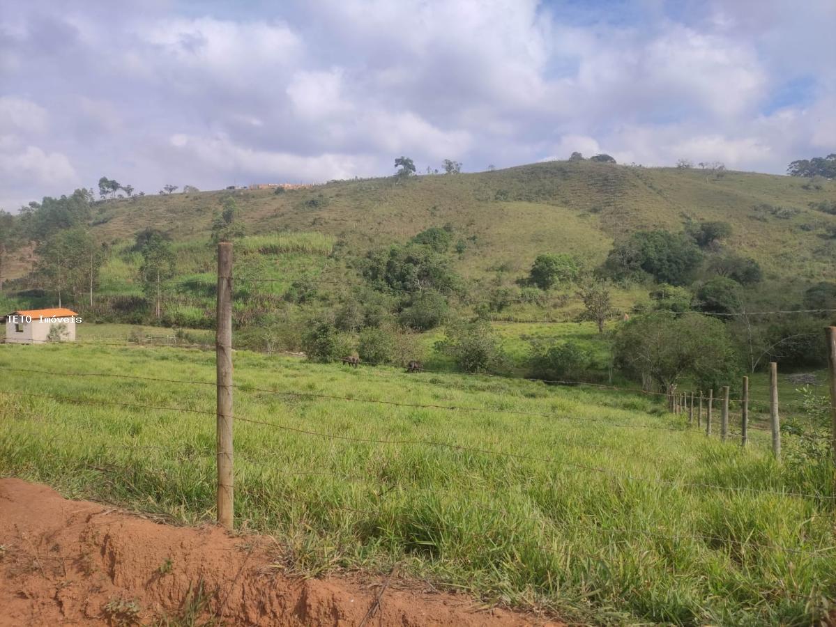 Terreno à venda, 8000m² - Foto 3