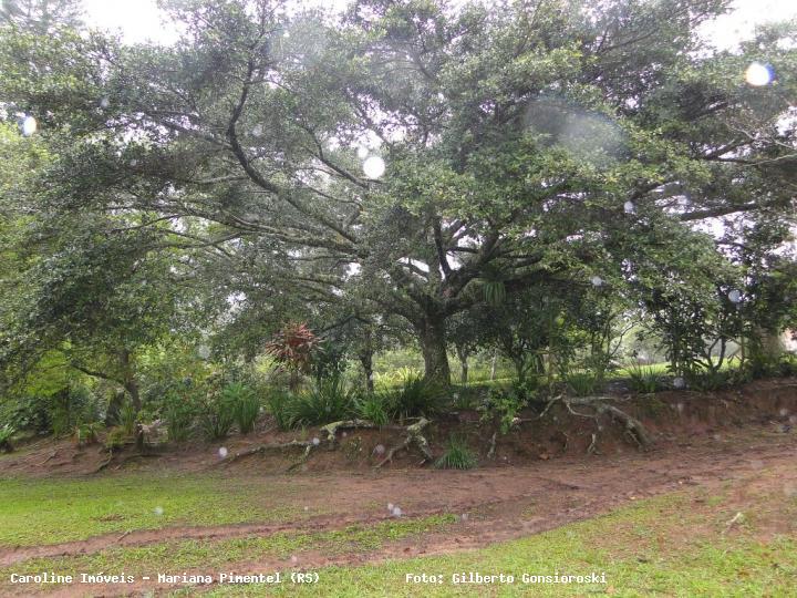 Fazenda à venda com 3 quartos, 5m² - Foto 9