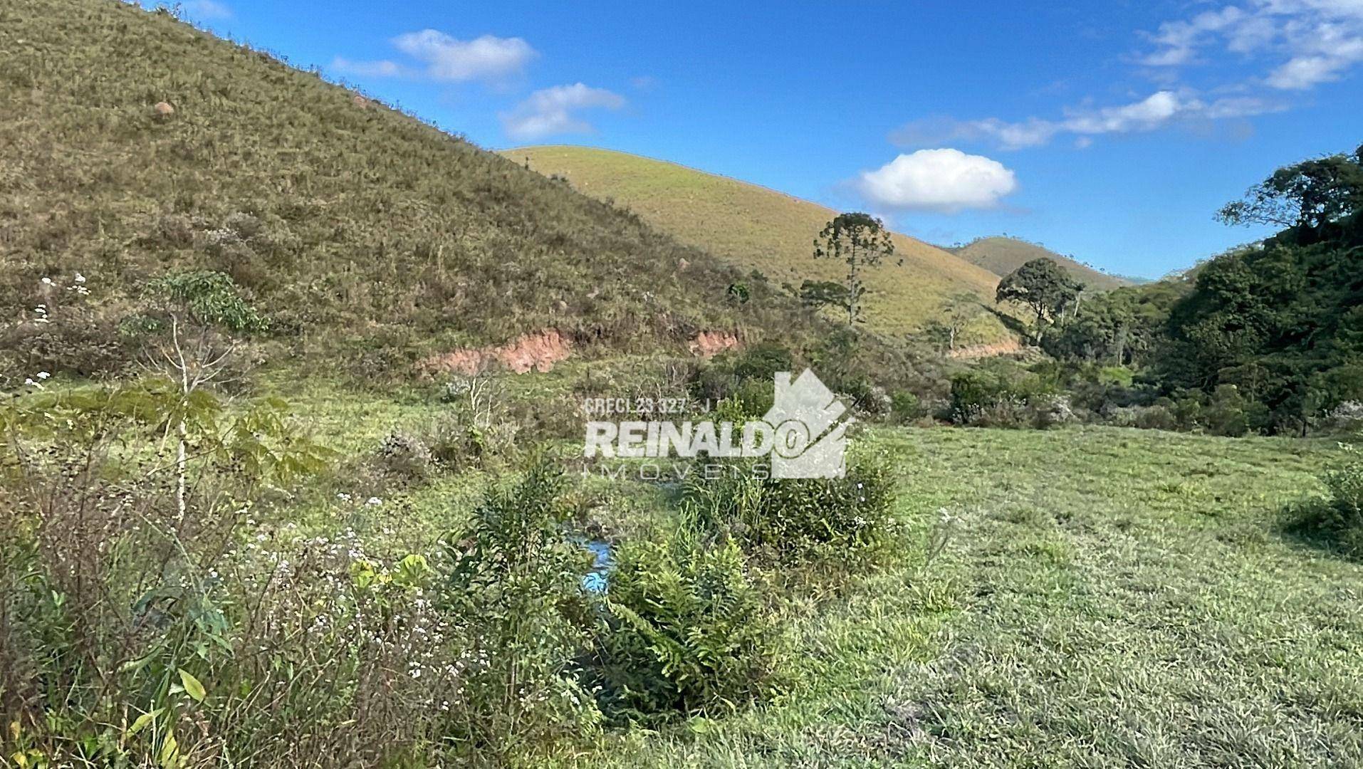 Fazenda à venda com 8 quartos, 900m² - Foto 38