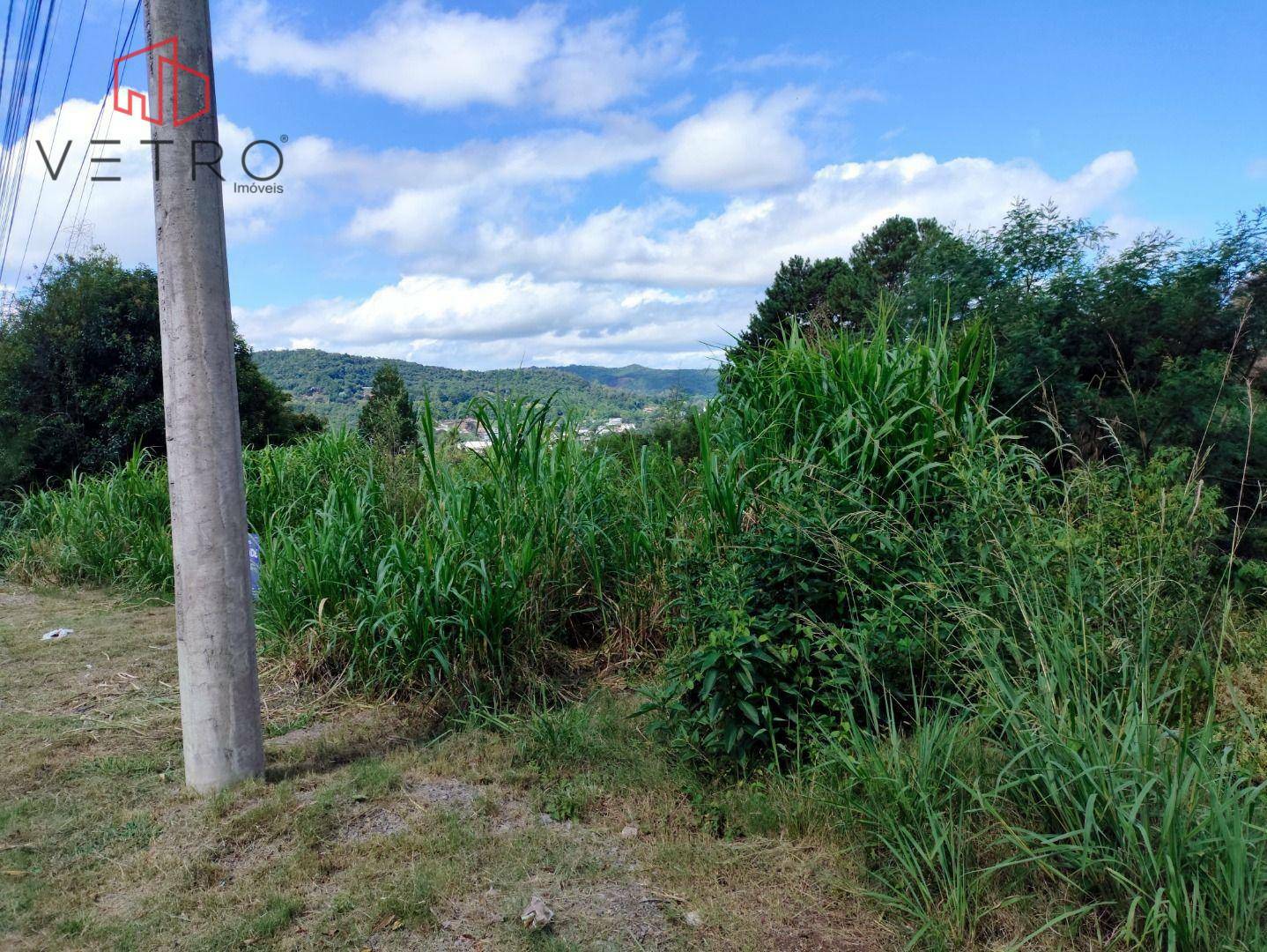 Terreno à venda, 1600M2 - Foto 5