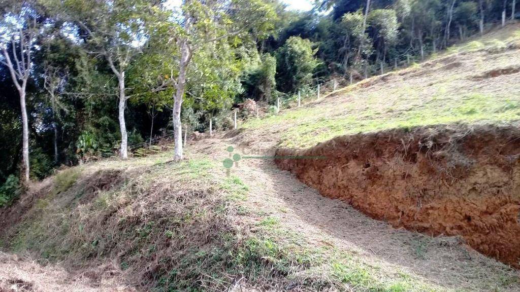 Terreno à venda, 1235M2 - Foto 4