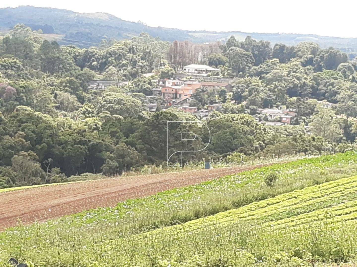 Terreno à venda, 39000M2 - Foto 1