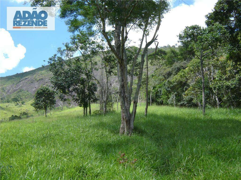 Fazenda à venda com 4 quartos, 1150000M2 - Foto 23