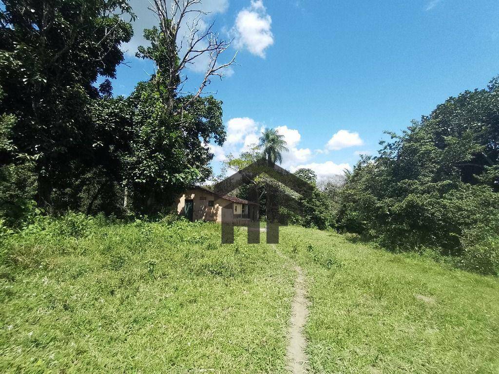 Chácara à venda com 4 quartos, 98000M2 - Foto 13