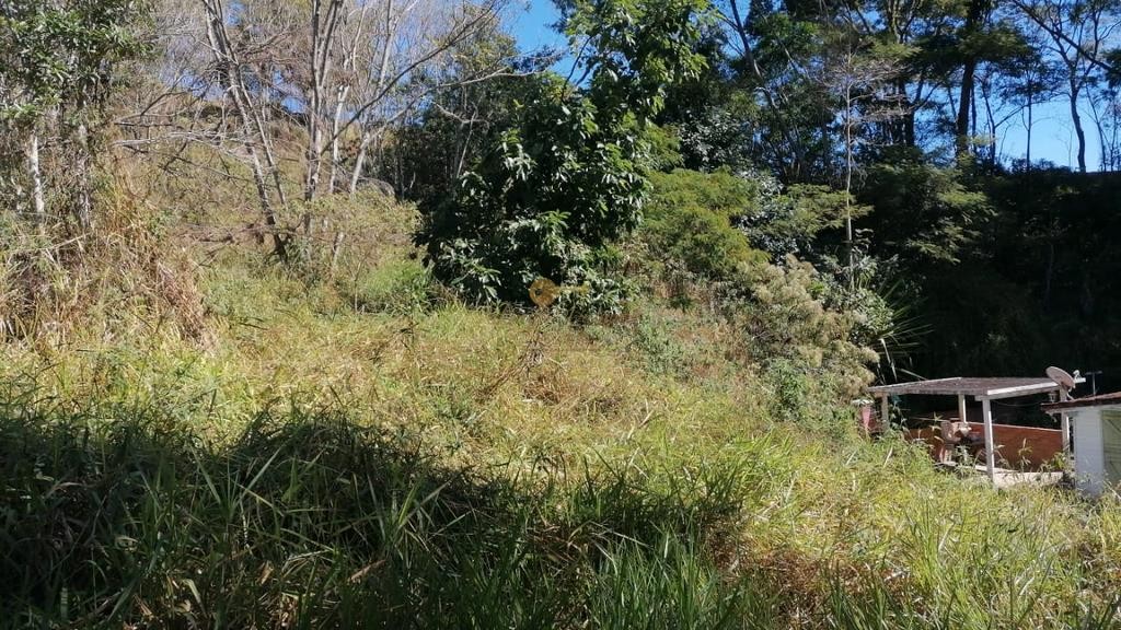 Sítio à venda com 2 quartos, 2500m² - Foto 11