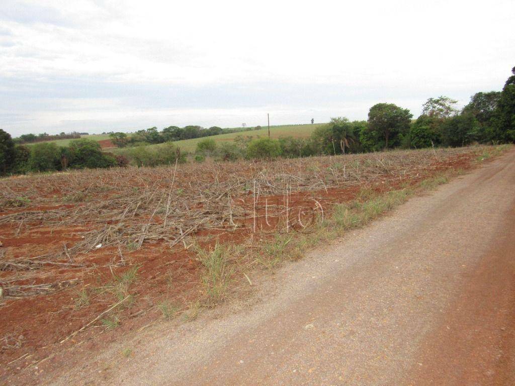 Terreno para alugar, 24200M2 - Foto 21