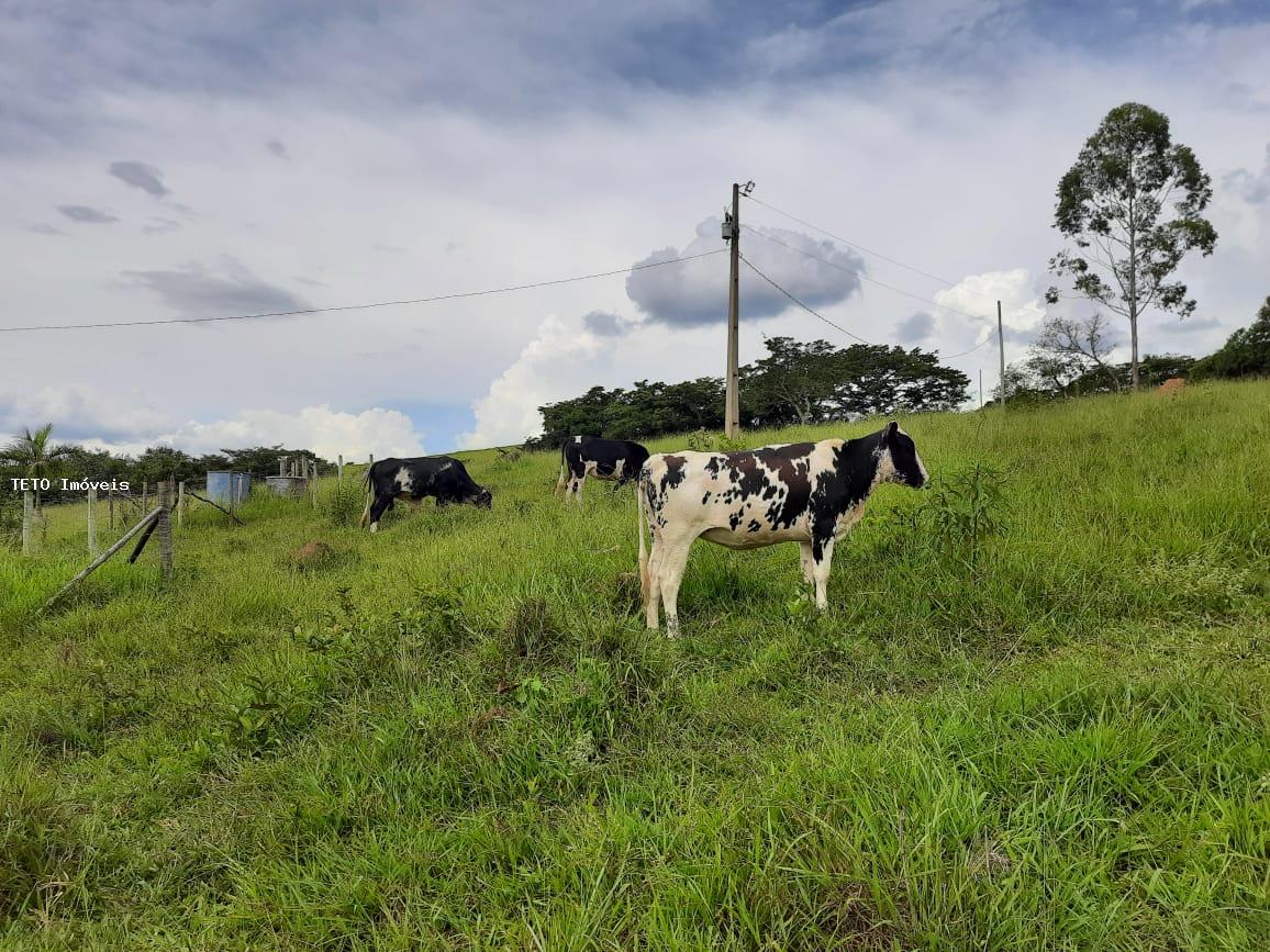 Fazenda à venda, 7m² - Foto 13