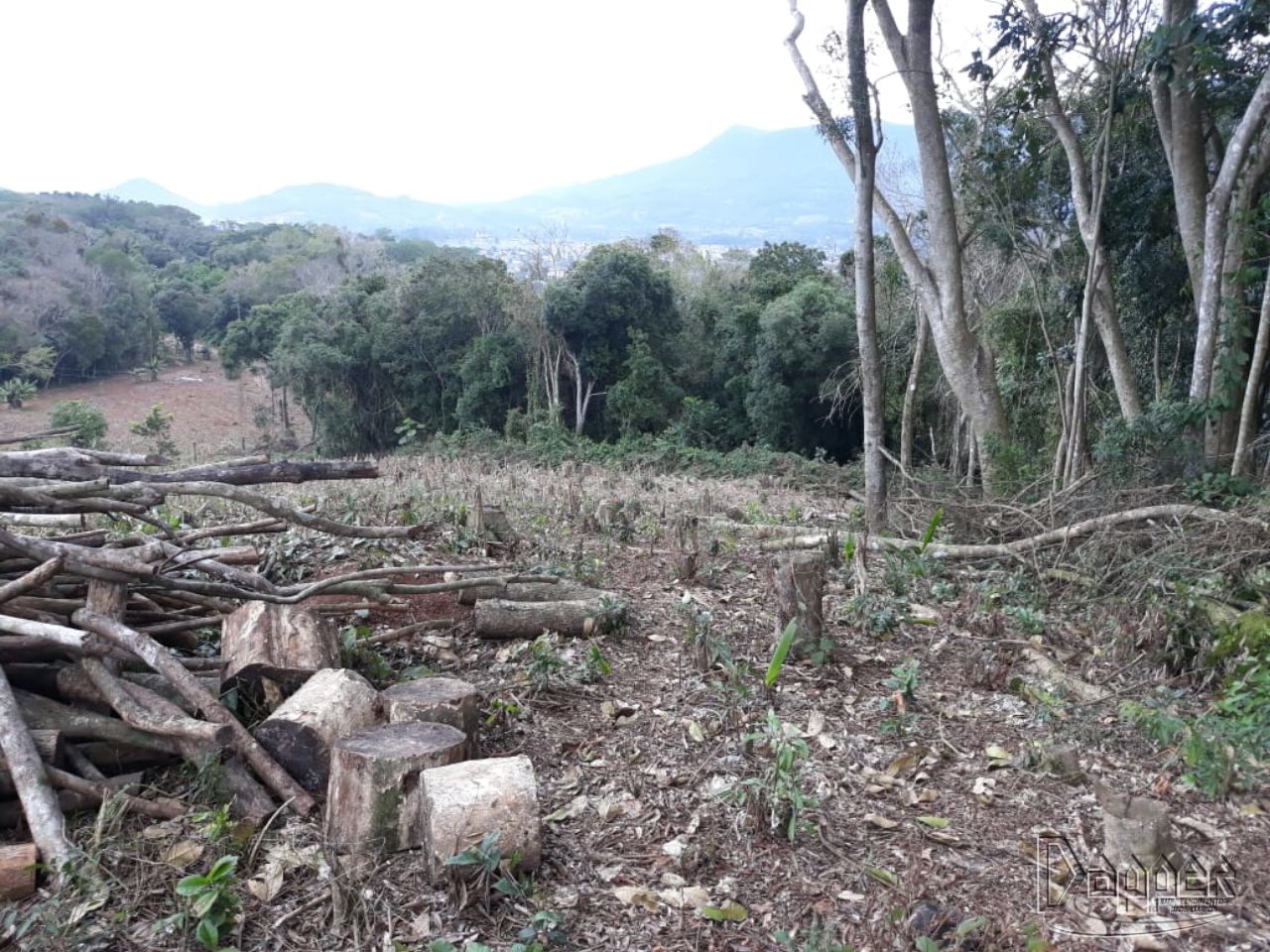 Terreno à venda - Foto 2