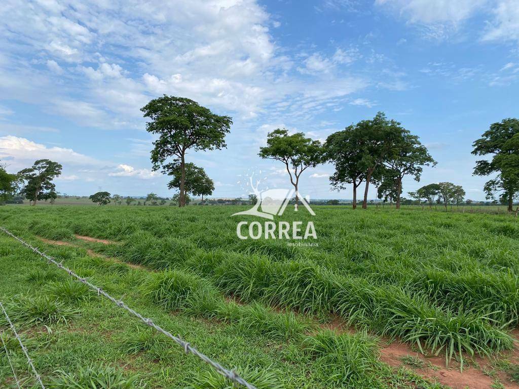 Fazenda-Sítio-Chácara, 829 hectares - Foto 3