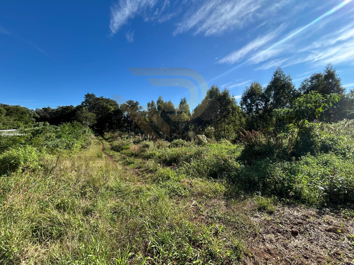 Loteamento e Condomínio à venda, 30000m² - Foto 3