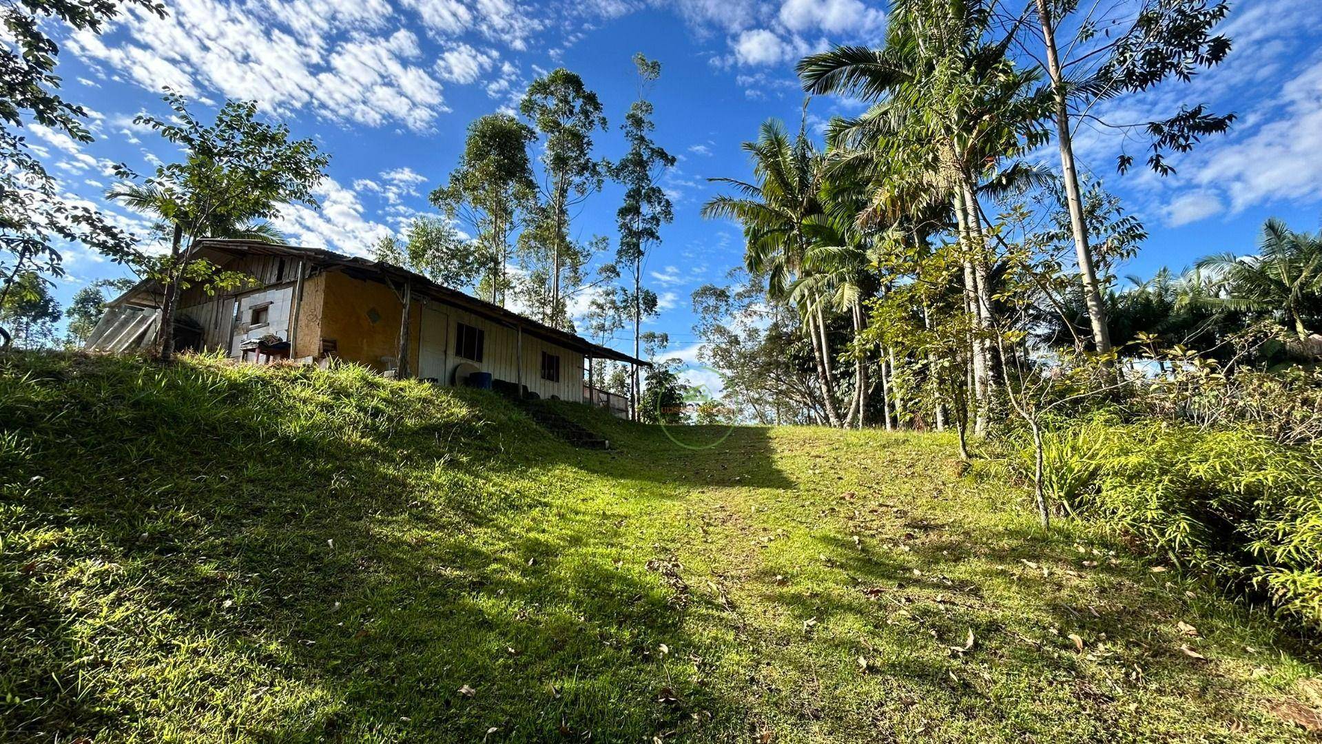 Sítio, 3 hectares - Foto 34