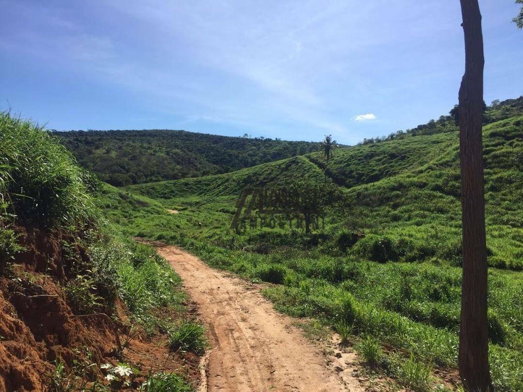 Fazenda à venda, 5469200M2 - Foto 41