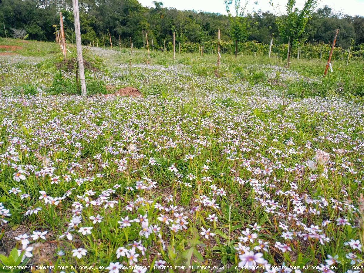 Loteamento e Condomínio à venda, 20000m² - Foto 3