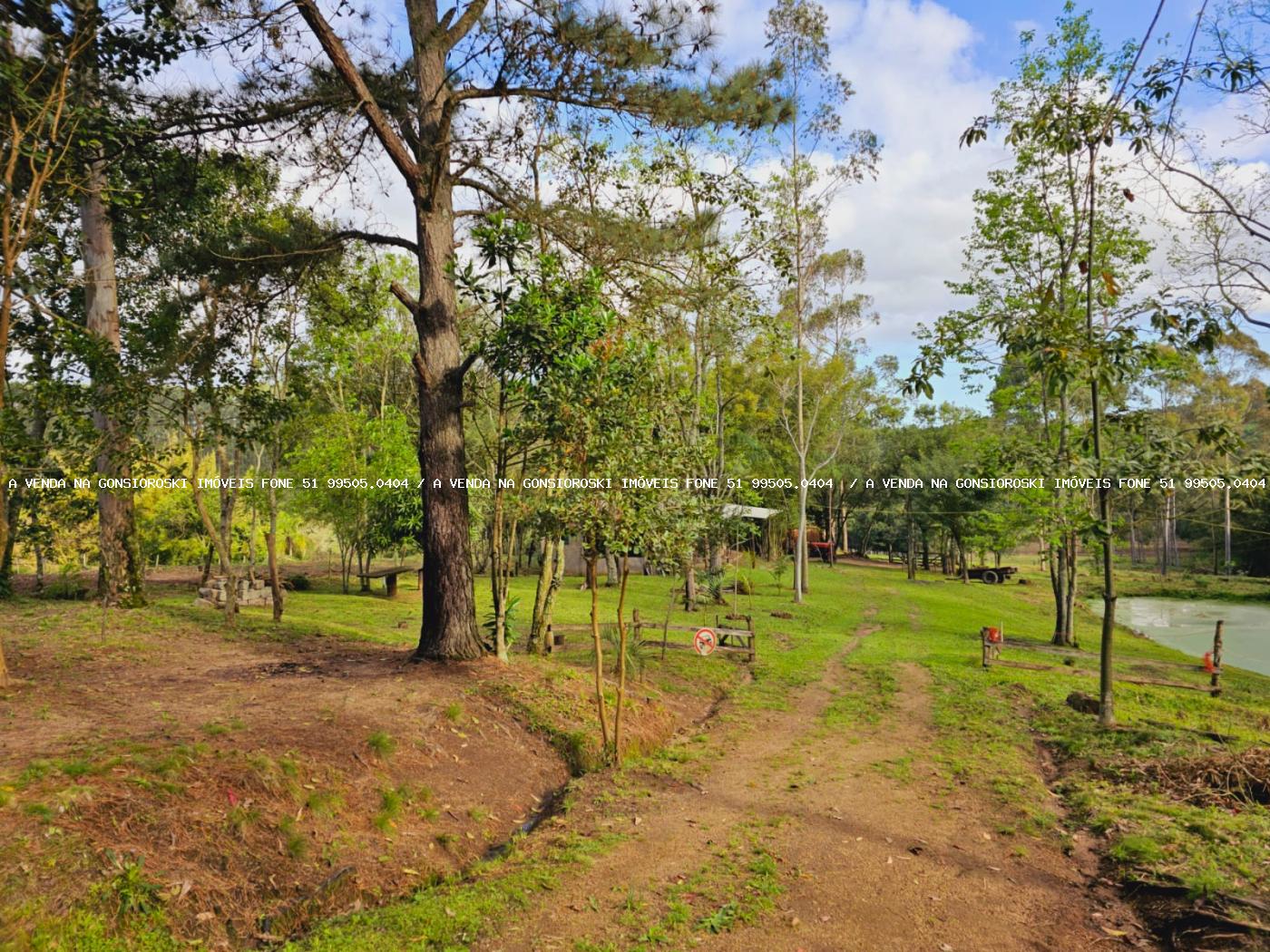 Sítio à venda, 30000m² - Foto 18