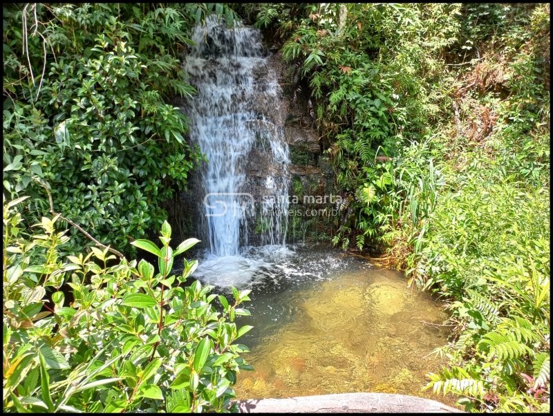 Fazenda-Sítio-Chácara, 81 hectares - Foto 1