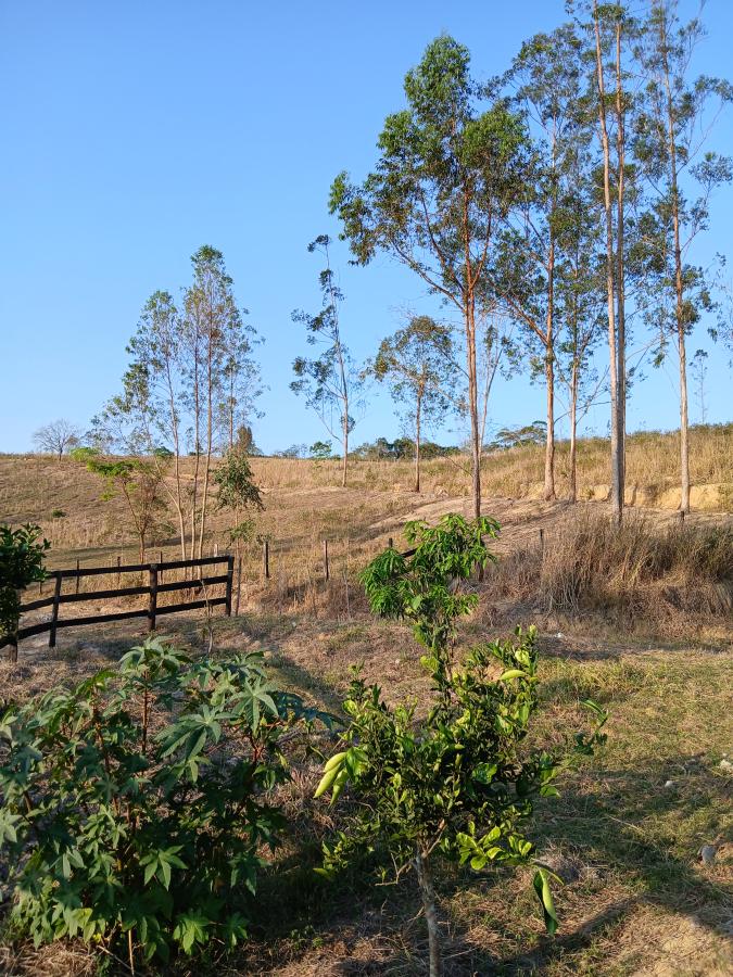 Fazenda à venda com 2 quartos, 146000m² - Foto 14