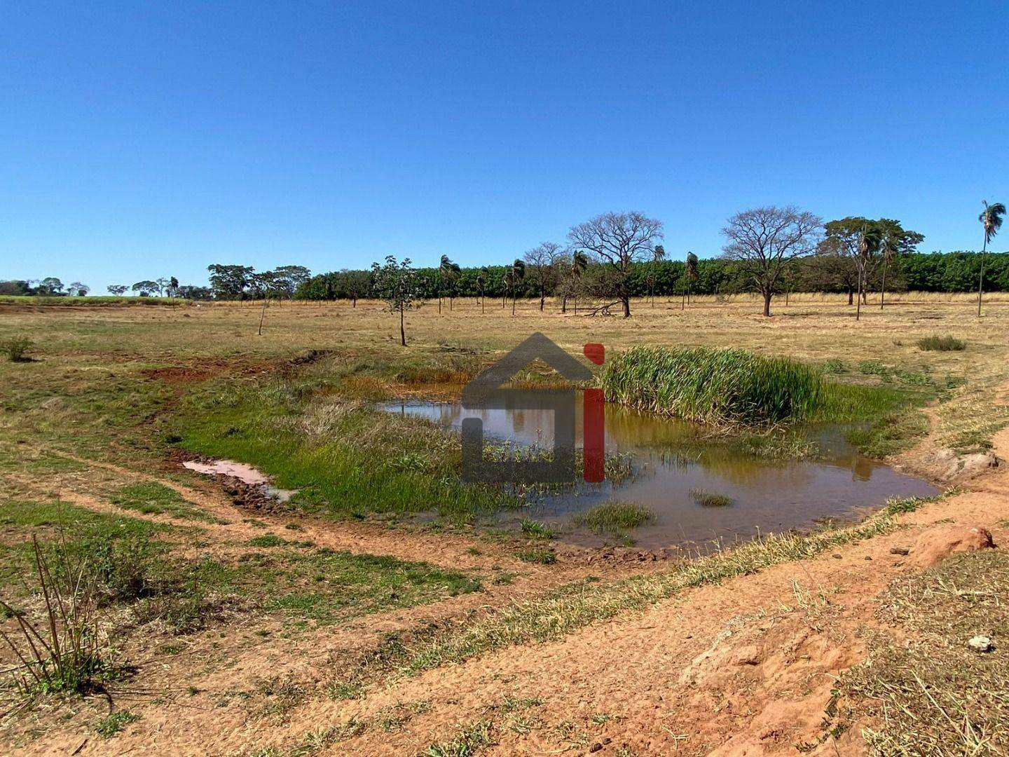 Sítio à venda com 3 quartos, 283140M2 - Foto 6