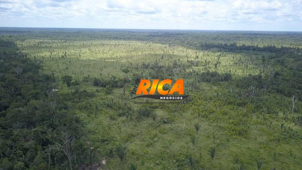 Fazenda, 300 hectares - Foto 4