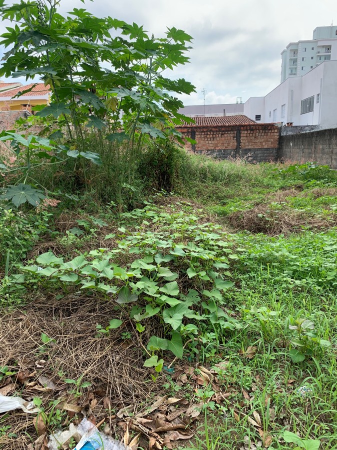 Terreno para alugar, 300m² - Foto 2