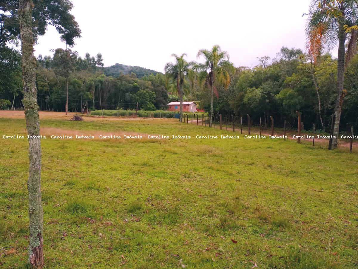 Fazenda à venda com 2 quartos, 13500m² - Foto 4