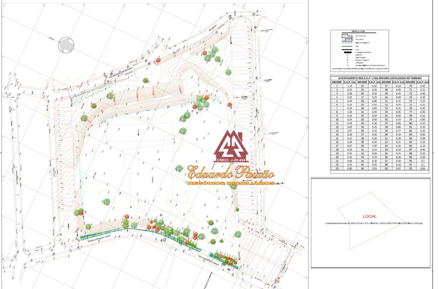 Terreno, 5 hectares - Foto 5