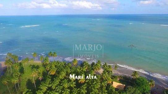 Terreno, 11 hectares - Foto 6