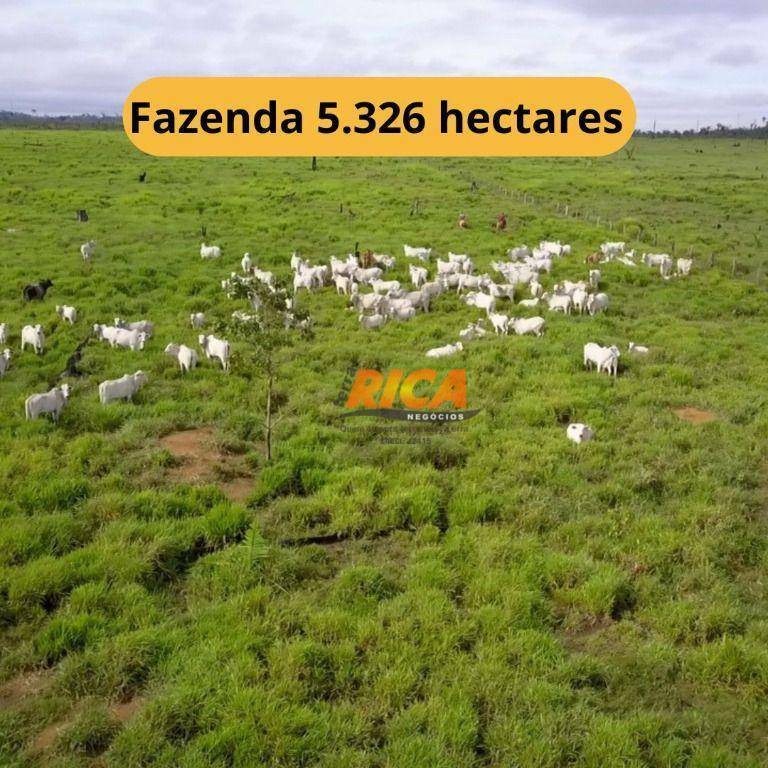 Fazenda-Sítio-Chácara, 5326 hectares - Foto 1