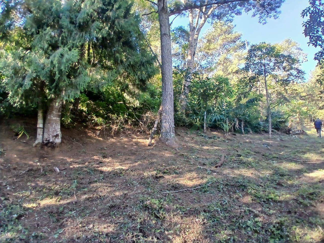 Terreno à venda, 214396M2 - Foto 1