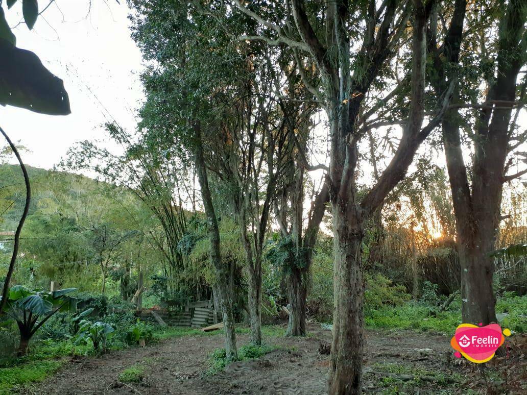 Terreno, 1680 m² - Foto 5