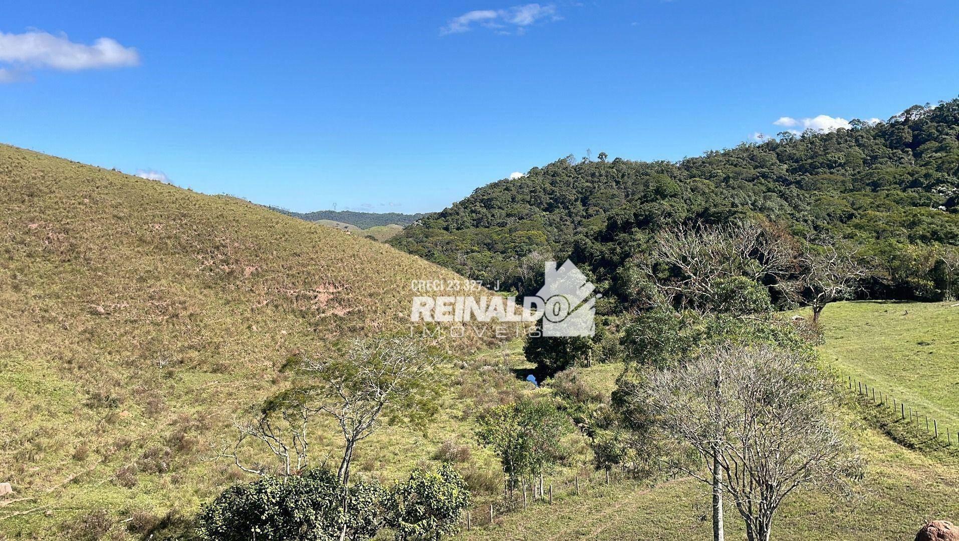 Fazenda à venda com 8 quartos, 900m² - Foto 29