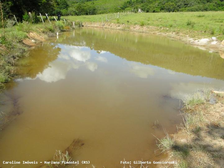 Fazenda à venda com 3 quartos, 160000m² - Foto 30