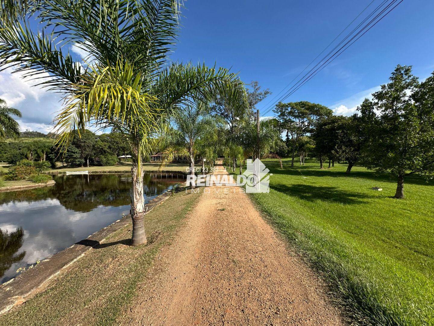 Fazenda à venda com 9 quartos, 5000m² - Foto 77