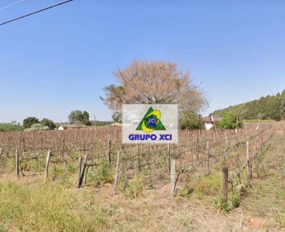 Sítio, 5 hectares - Foto 2