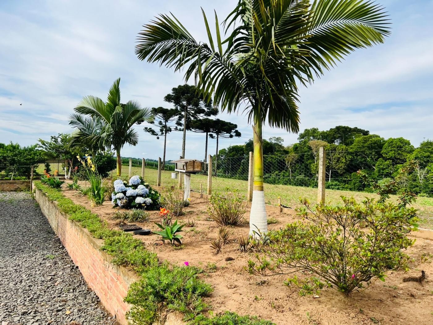 Chácara à venda, 28000m² - Foto 6