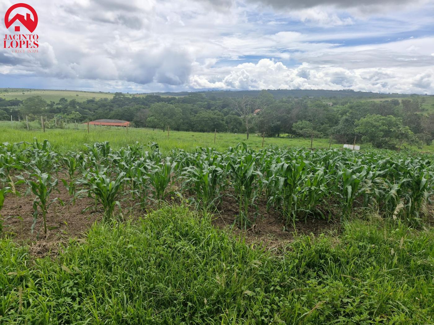 Fazenda à venda com 2 quartos, 120m² - Foto 2