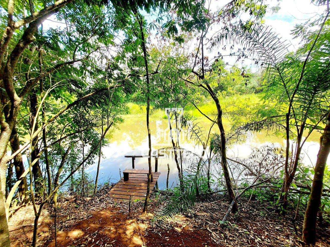 Chácara à venda com 4 quartos, 1000M2 - Foto 24