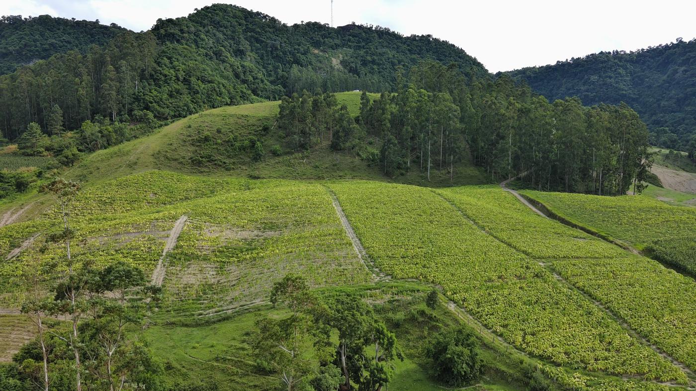 Sítio à venda com 5 quartos, 230000m² - Foto 49