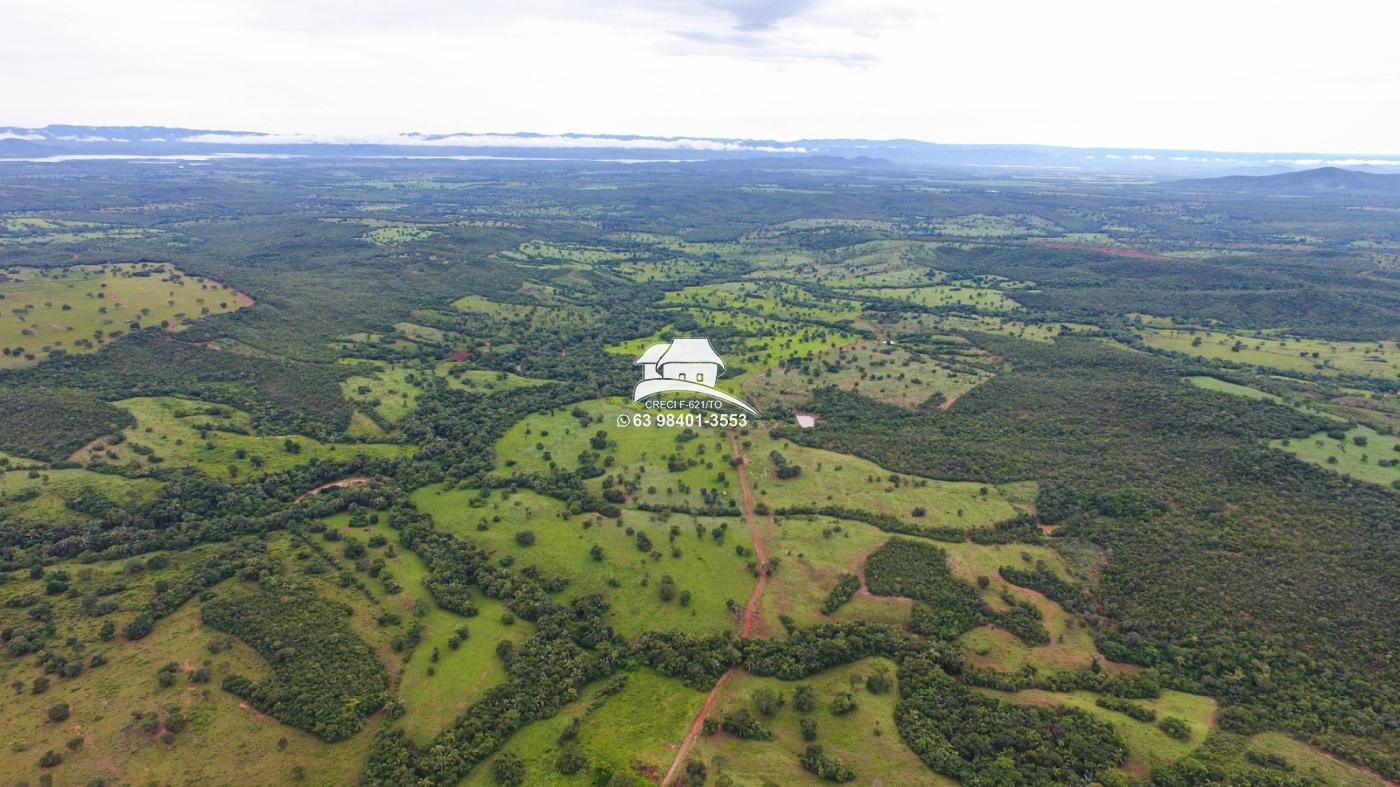 Fazenda à venda, 1m² - Foto 11