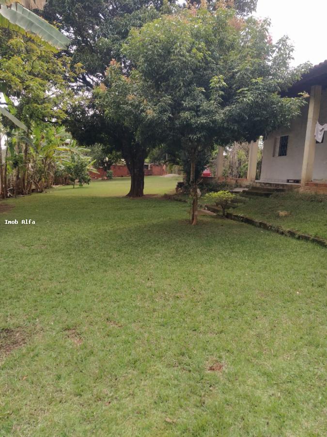 Fazenda à venda com 1 quarto, 1000m² - Foto 3