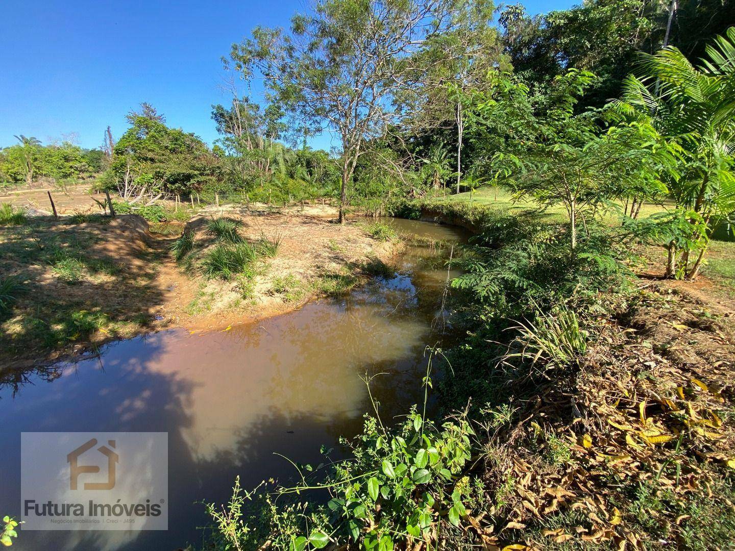 Chácara à venda com 3 quartos, 6000M2 - Foto 29