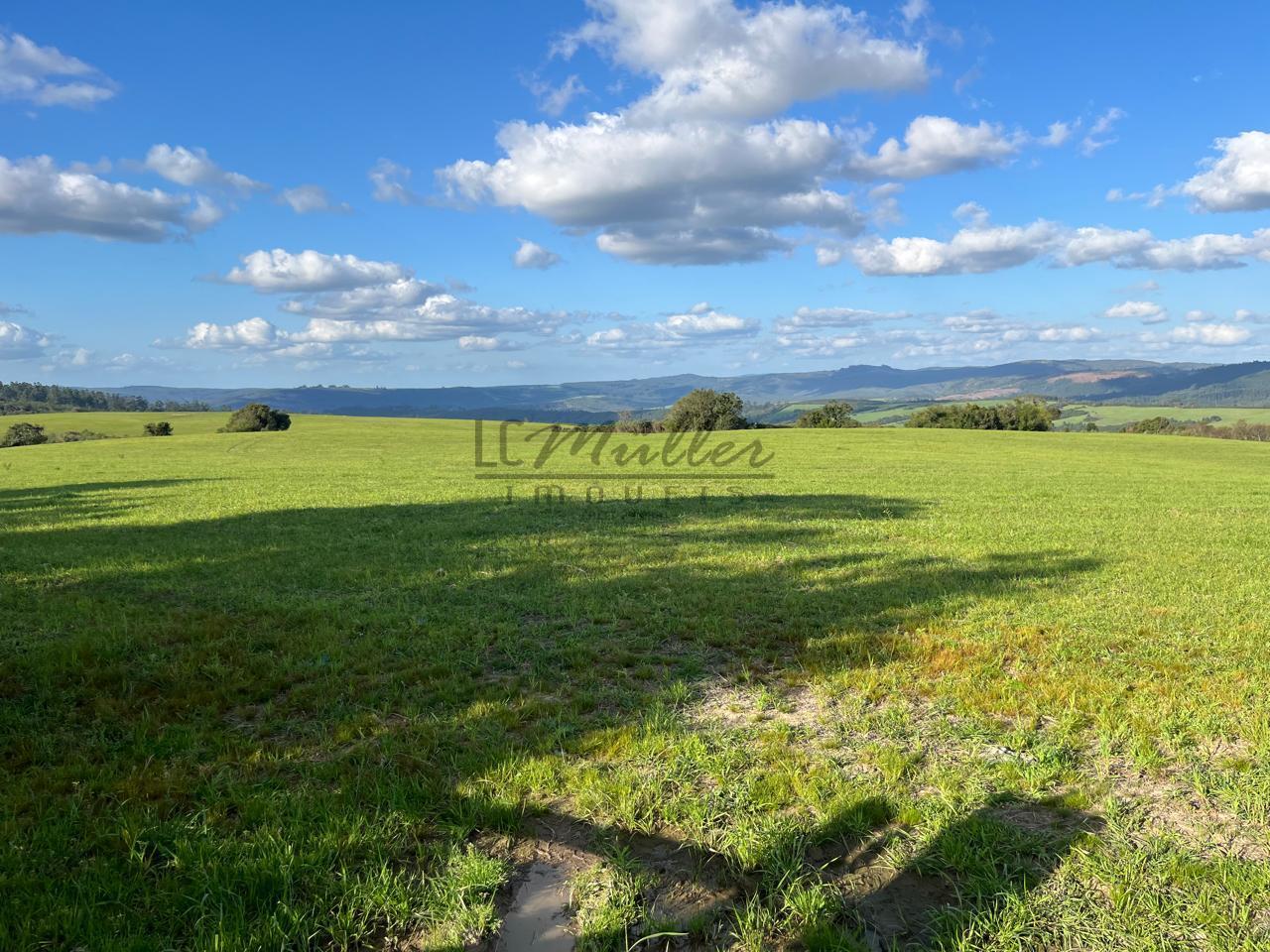 Fazenda à venda, 900m² - Foto 21