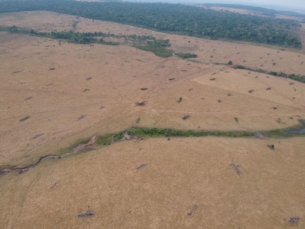 Fazenda à venda, 41140000M2 - Foto 18