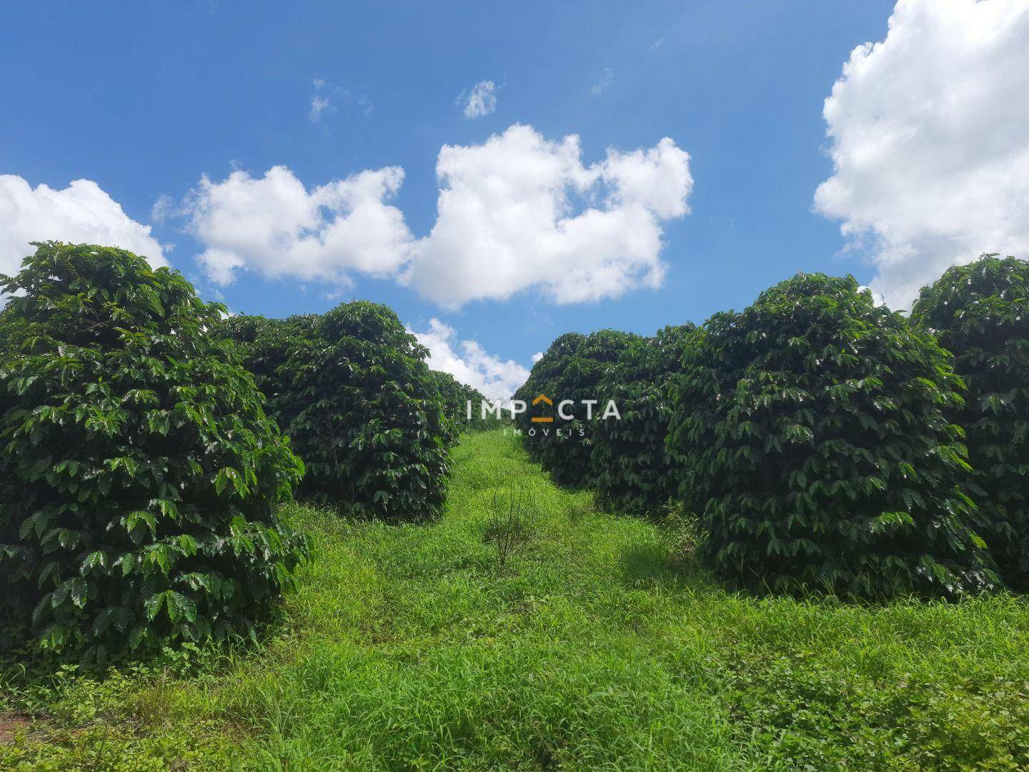 Sítio à venda, 66000M2 - Foto 1