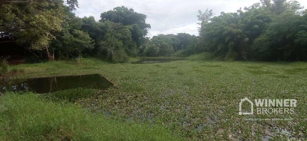 Chácara à venda com 1 quarto, 37280M2 - Foto 19