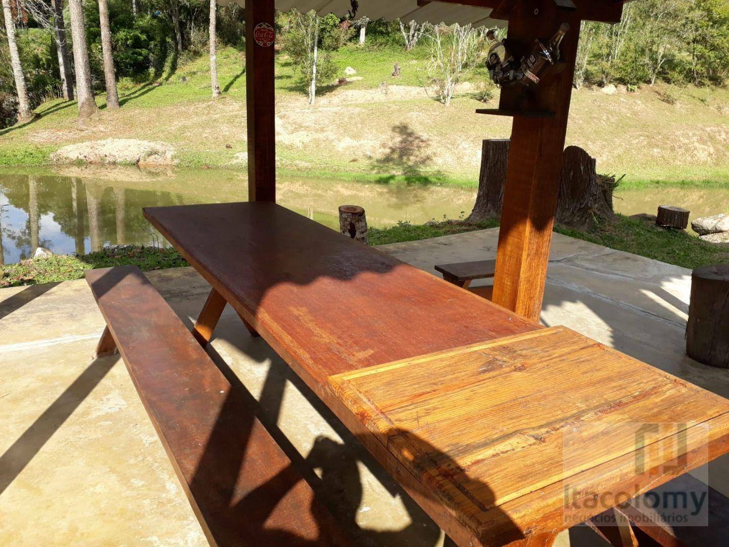 Chácara à venda com 6 quartos, 338800M2 - Foto 21