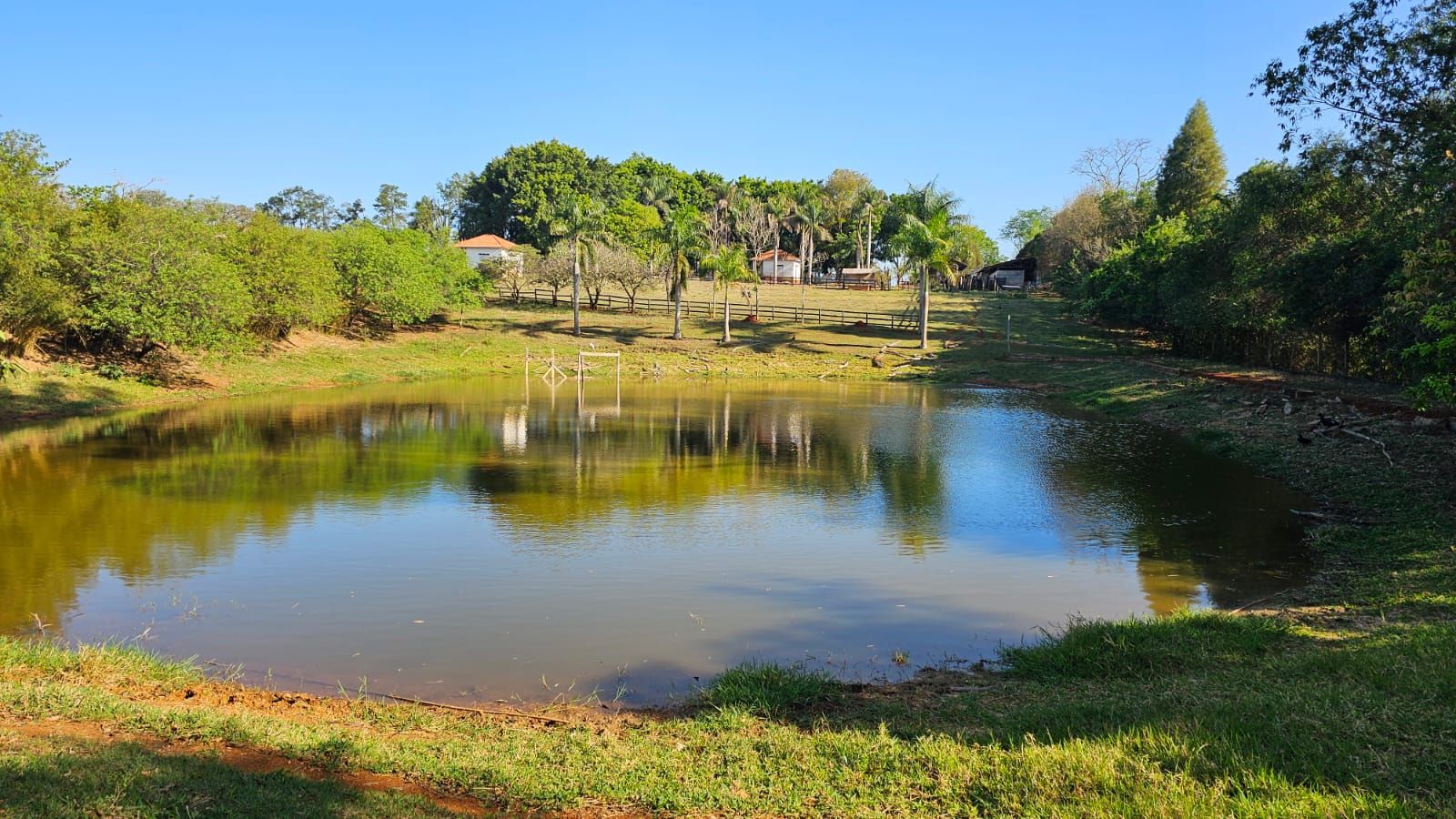 Haras e Área Rural Padrão à venda com 3 quartos, 96800M2 - Foto 28