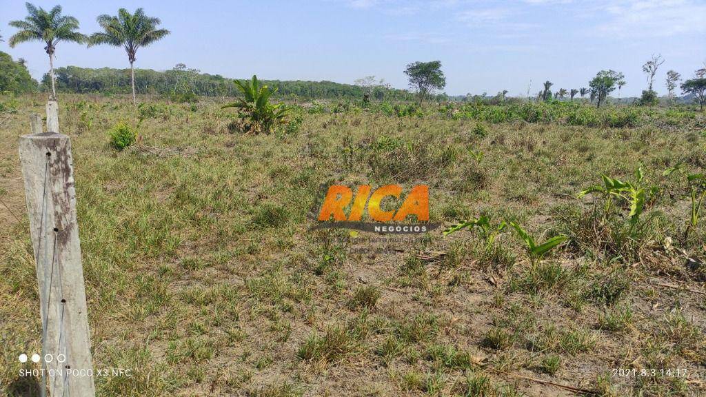 Fazenda, 685 hectares - Foto 5